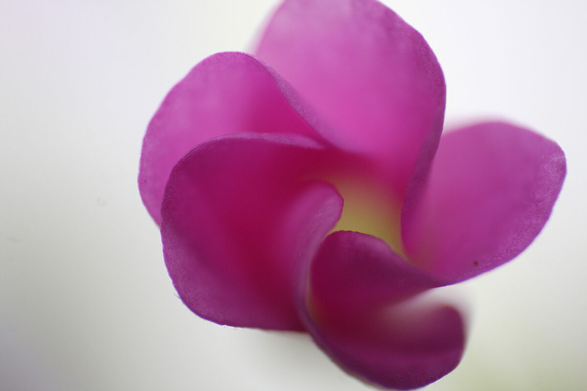 slide-17