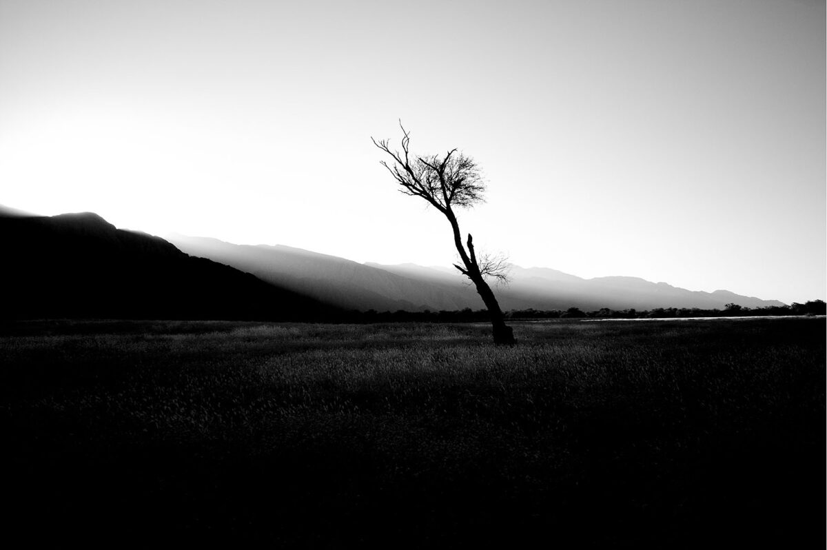 slide-2